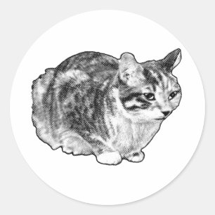 Sly Loaf, gepunkteter Arm Runder Aufkleber