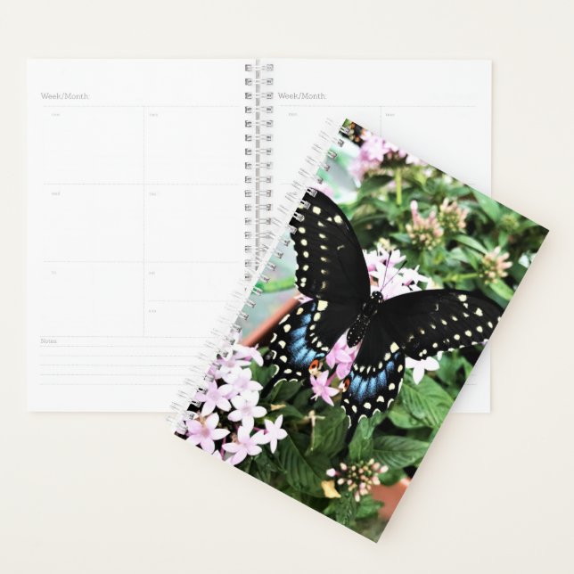Sm Planner Black Swallower (Devant avec enveloppe)