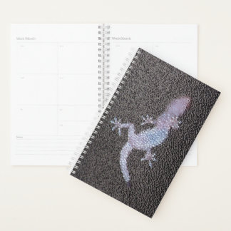 Sm Planner Gecko auf Glas Planer