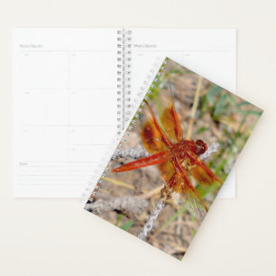 Sm Planner Orange Dragonfly Planer