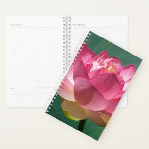 Sm Planner Pink Lotus Planer