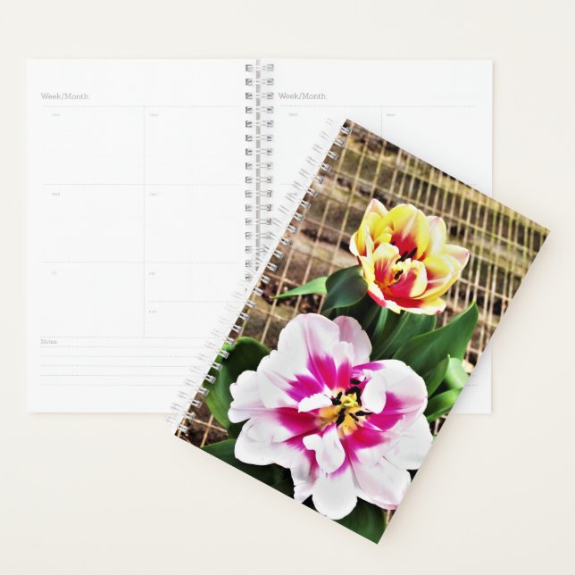 Sm Planner Rosa/Gelbe Tulpen Planer (Anzeige)