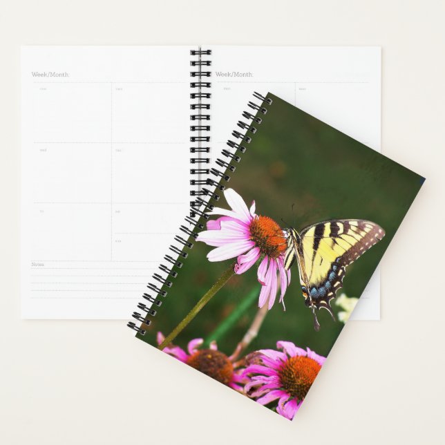 Sm Planner Tiger Swallower sur Coneflower (Devant avec enveloppe)