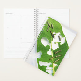 Sm Planner Tiny Monarch Caterpillar