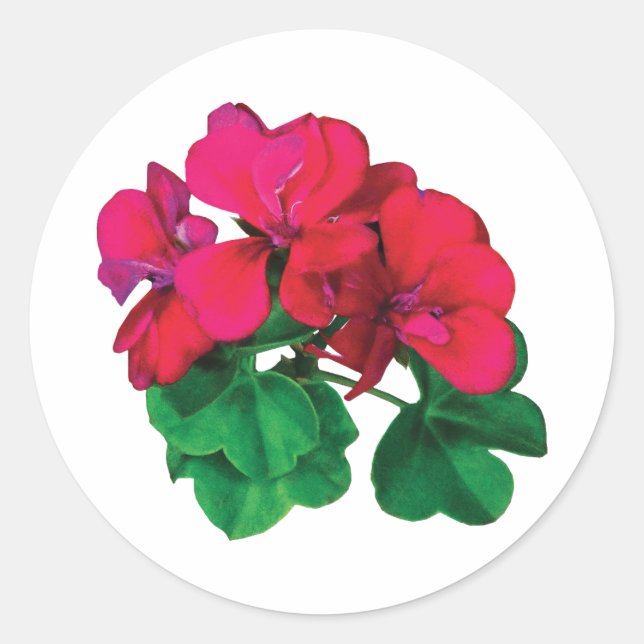 Small Magenta Geraniums Runder Aufkleber (Vorderseite)
