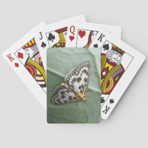 Small Magpie Moth Playing Cards Spielkarten