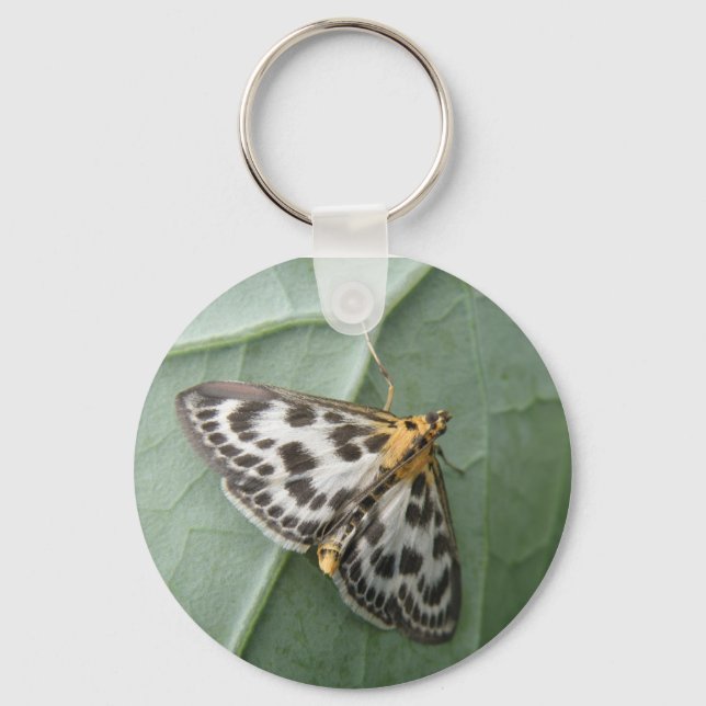 Small Magpie Moth Schlüsselanhänger (Vorderseite)