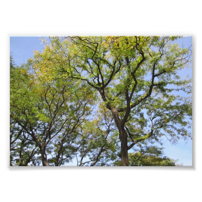 SMALL Poster # L003 auf Foto (Vorne)