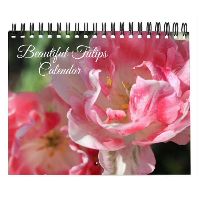 Small Size Tulips Calendar Kalender (Titelbild)