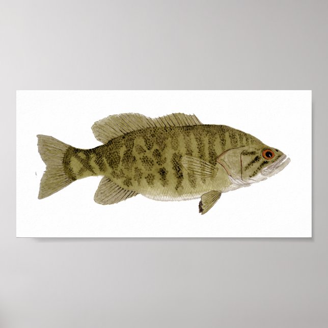 Smallmouth Bass Art Poster (Vorne)