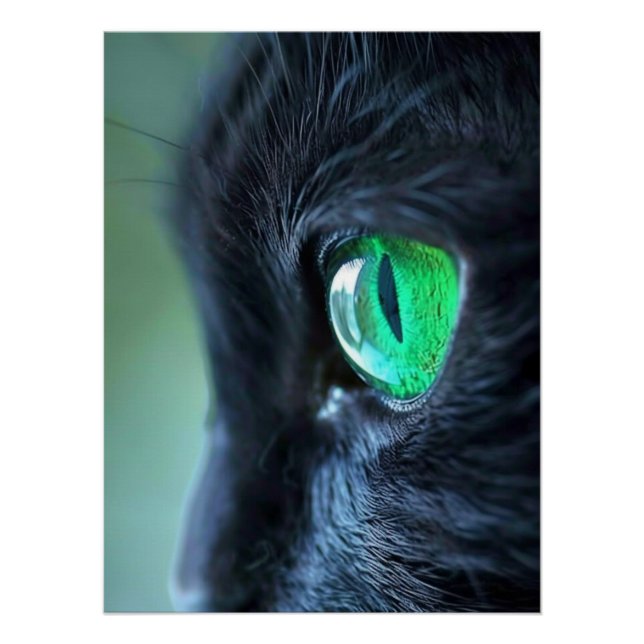 Smaragdauge Schwarze Katze Poster (Vorderseite)