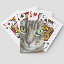 Smaragdaugen – Porträt einer grünäugigen Katze