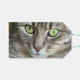 Smaragdaugen – Porträt einer Katze mit grünen Auge Geschenkanhänger