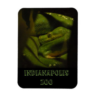 Smaragdbaum-Boa Indy Zoo-Foto Magnet