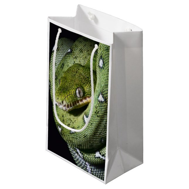 Smaragdboa der grünen Baumschlange in Bolivien Kleine Geschenktüte (Vorderseite Schrägansicht)