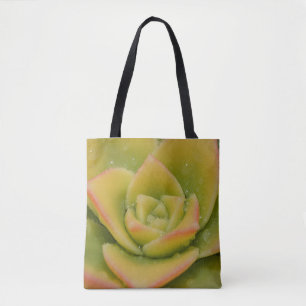 Smaragdgrüne Sukkulenten Botanische Natur Foto Rei Tasche