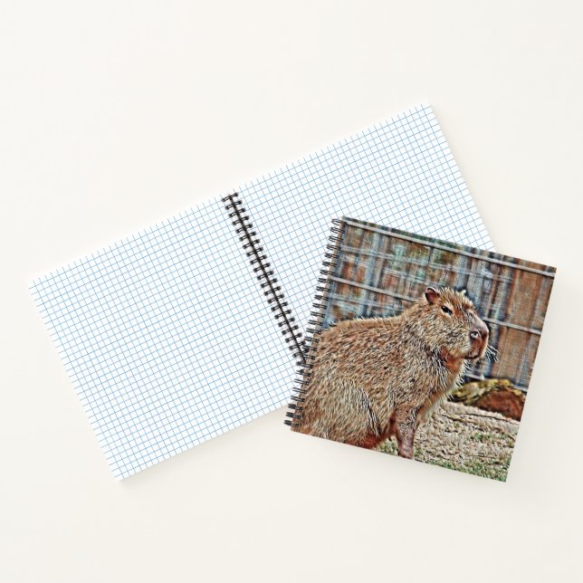 SmartMix Animal- Capybara Notizbuch (Innenseite)