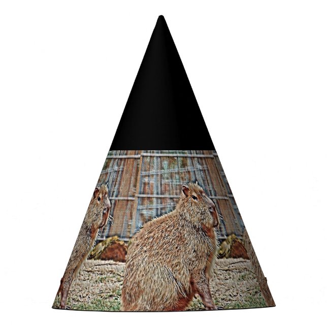 SmartMix Animal- Capybara Partyhütchen (Vorderseite)