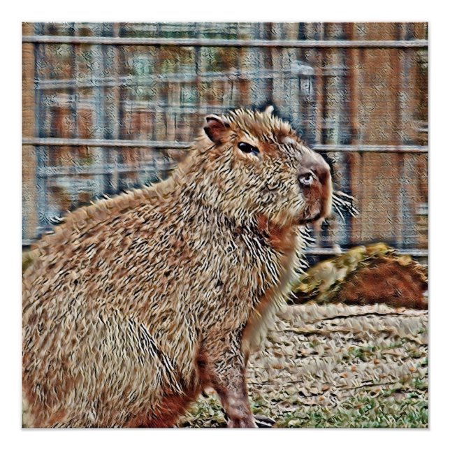SmartMix Animal- Capybara Poster (Vorderseite)