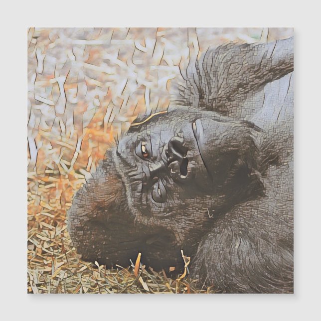 smartmix animal - Gorilla 3 Magnetkarte (Vorderseite)
