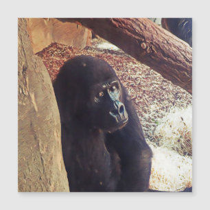 SmartMix Animal-Gorilla Magnetkarte