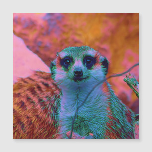 SmartMix Tier- Meerkat 5 Magnetkarte