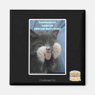 Smartmouth Katze Magnet