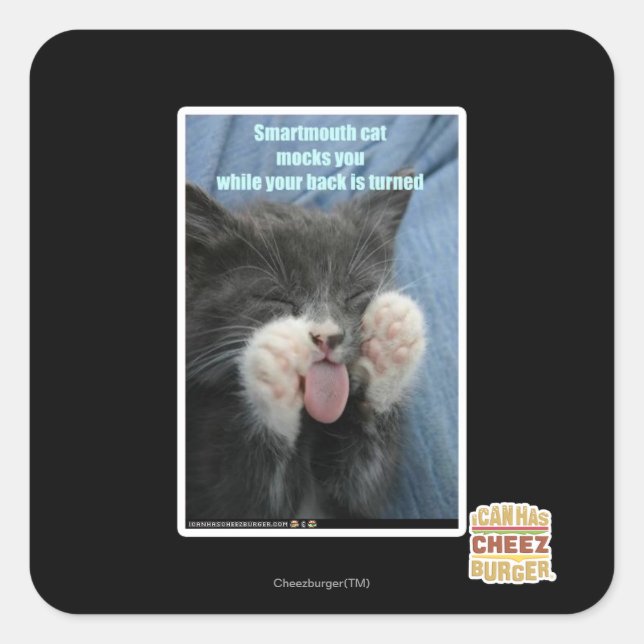 Smartmouth Katze Quadratischer Aufkleber (Vorderseite)