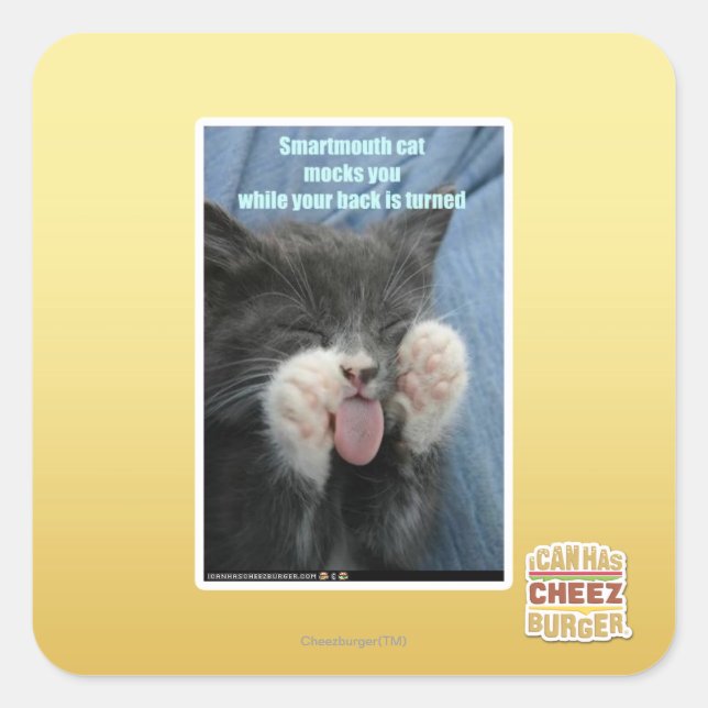 Smartmouth Katze Quadratischer Aufkleber (Vorderseite)