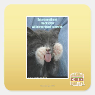 Smartmouth Katze Quadratischer Aufkleber