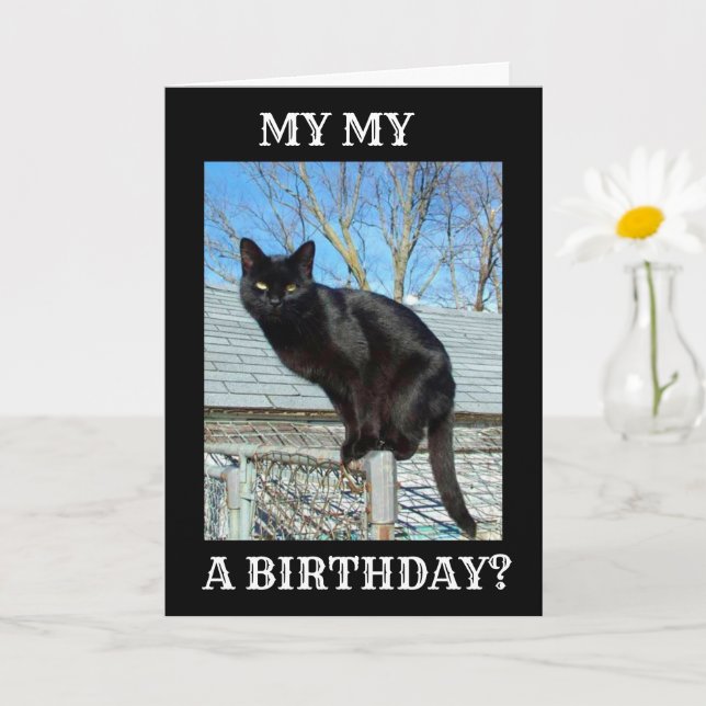 *SMARTY PANTS BLACK CAT** GEBURTSTAG KARTE (Kleine Pflanze)