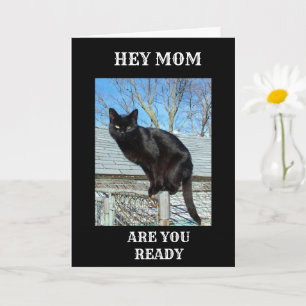 *SMARTY PANTS CHAT NOIR POUR LA CARTE D'ANNIVERSAI
