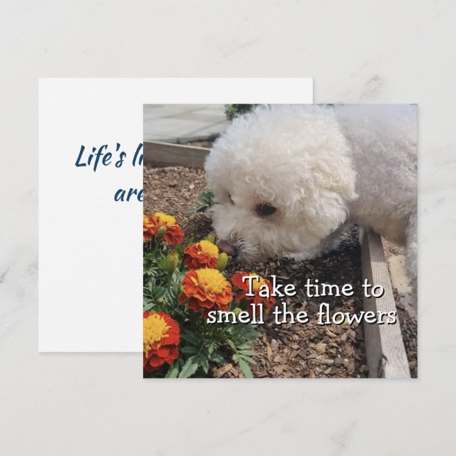 Smell the Flowers Karte (Vorne/Hinten)