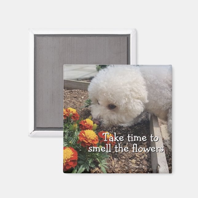 Smell the Flowers Magnet (Vorderseite/Rückseite)