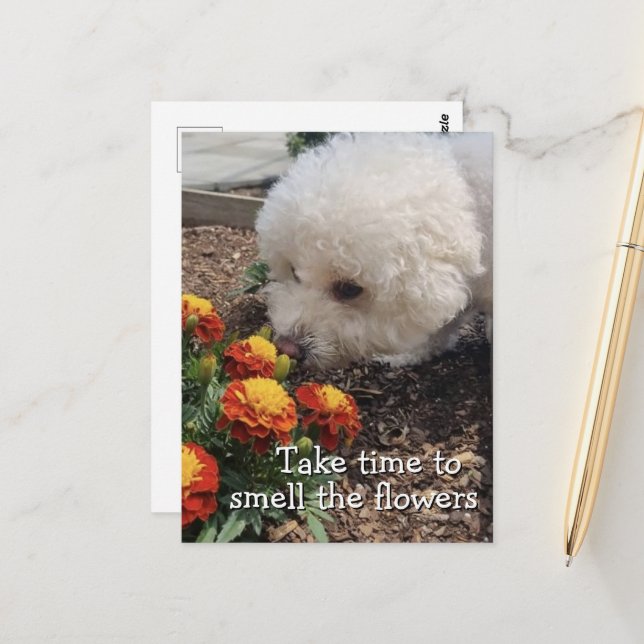 Smell the Flowers Postkarte (Vorderseite/Rückseite Beispiel)