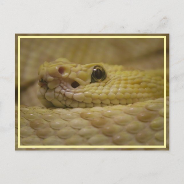 Smell Your Fear! Postkarte (Vorderseite)