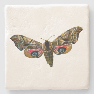 Smerinthus ocellata - Eyed Hawk-Moth - Color Image Steinuntersetzer