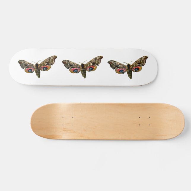 Smerinthus ocellata - Mit Augen Farbbild von Hawk- Skateboard (Horizontal)