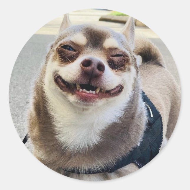 Smile Big Huey Runder Aufkleber (Vorderseite)