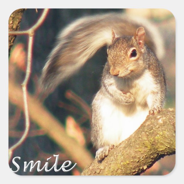 Smile Mr. Squirrel Sticker (Vorderseite)