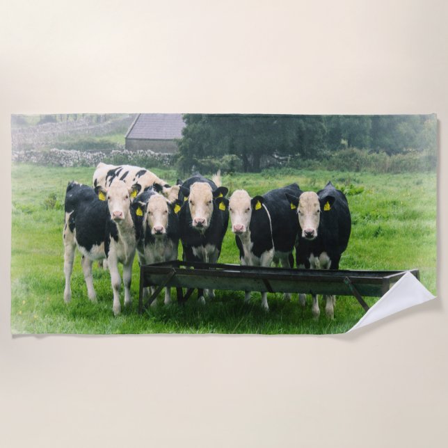 Smile please! Cute cows Strandtuch (Vorderseite)