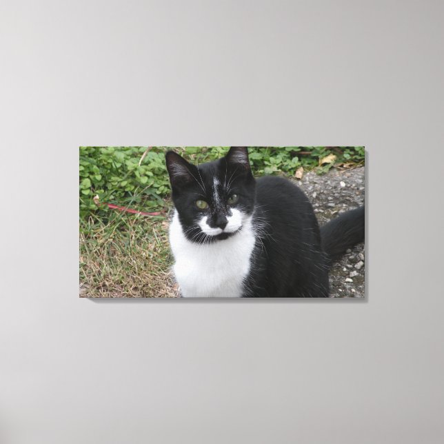 Smiler Charity Leinwanddruck (Vorderseite)