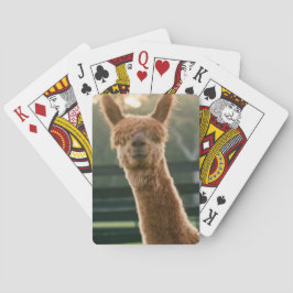 Smiling alpaca playing cards spielkarten