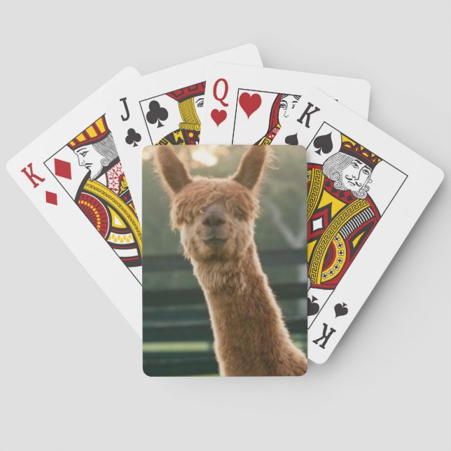 Smiling alpaca playing cards spielkarten (Rückseite)