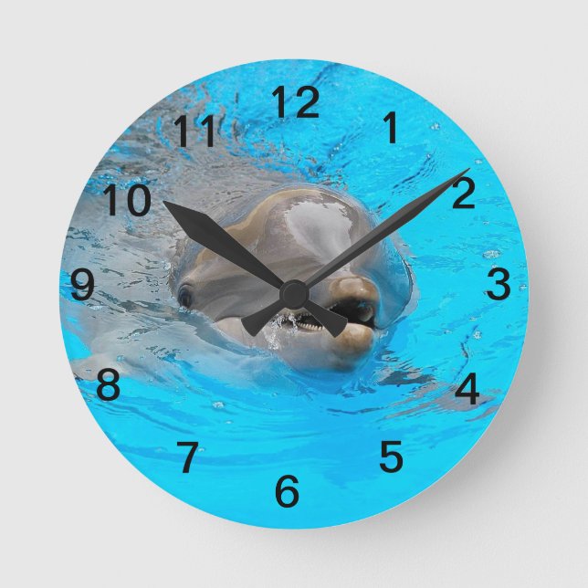 Smiling dolphin clock runde wanduhr (Vorderseite)