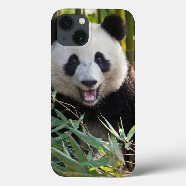 Smiling Panda Portrait Case-Mate iPhone Hülle (Rückseite)