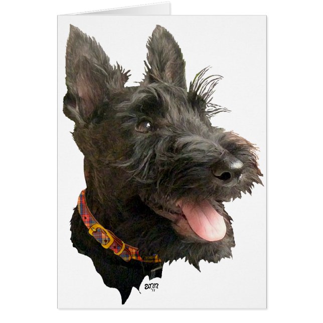 Smiling Scottish Terrier (Vorne)