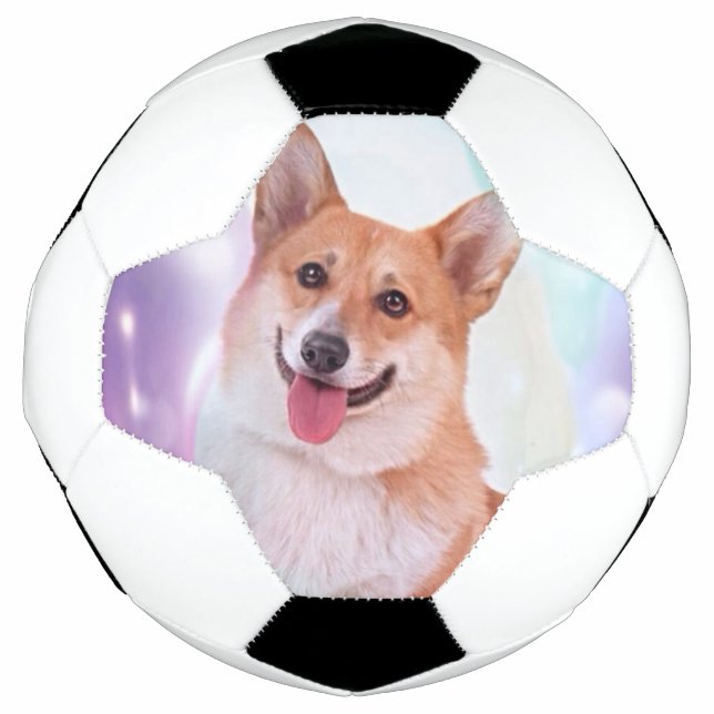 Smiling Welsh Corgi Fußball (Vorderseite)