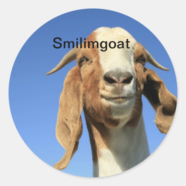 Smilingoat Runder Aufkleber (Vorderseite)