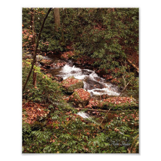 Smith Creek Fotodruck